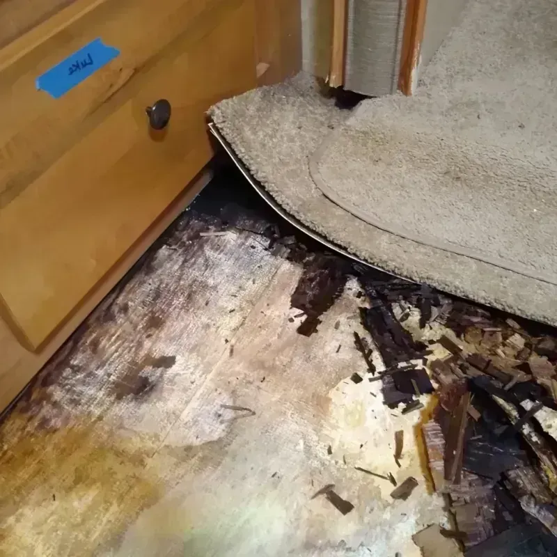 Best Wood Floor Water Damage Service in Edneyville, NC